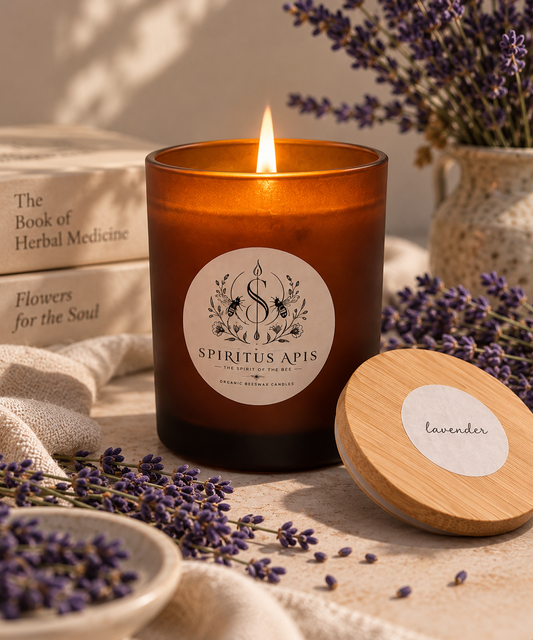 Lavender